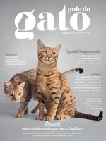 Pulo do Gato